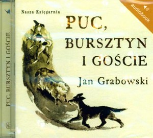 Obrazek [Audiobook] Puc Bursztyn i goście