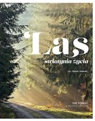 Zobacz : LAS świąty... - Marek Sławski