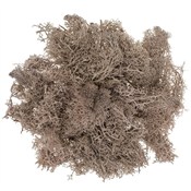 polish book : Mech brązo...