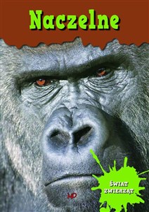 Picture of Świat zwierząt Naczelne
