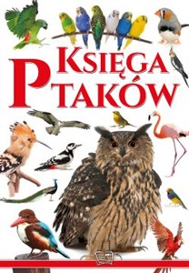 Obrazek Księga ptaków