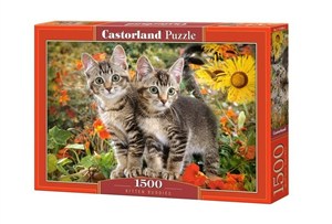 Obrazek Puzzle Kitten Buddies 1500 C-151899-2