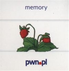 Picture of Memory Logopedia