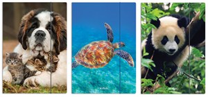Picture of Teczka rysunkowa A4 z gumką - Animals (437577)