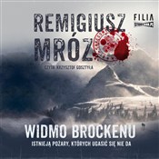 Zobacz : [Audiobook... - Remigiusz Mróz
