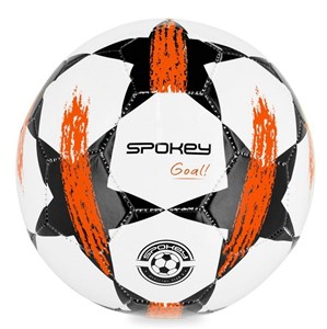 Picture of Piłka nożna Goal