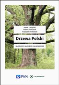 Książka : Drzewa Pol... - Paweł Zarzyński, Robert Tomasiak, Krzysztof Borkowski
