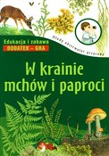 Polska książka : W krainie ... - Hanna Będkowska