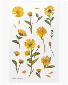 Zobacz : Naklejki o...