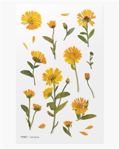 Picture of Naklejki ozdobne kwiaty Nagietek artystyczne scrapbooking rękodzieło