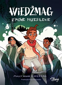 Obrazek Wiedźmag Zimowe przesilenie Tom 3