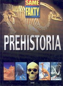 Obrazek Prehistoria