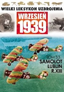 Obrazek Samolot Lublin R-XIII