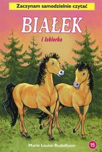 Picture of Białek i Iskierka Tom 15 Zaczynam samodzielnie czytać