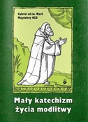 Mały katec... - Gabriel od św. Magdaleny OCD -  Książka z wysyłką do UK