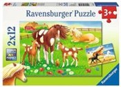 Puzzle Lat... - Ksiegarnia w UK