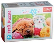 Puzzle 54 ... -  Polish Bookstore 