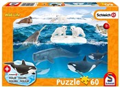 Polska książka : Puzzle 60 ...