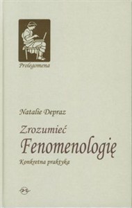 Picture of Zrozumieć Fenomenologię