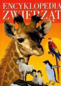 Obrazek Encyklopedia zwierząt