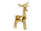 polish book : Balon foli...