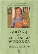 polish book : Droga do Z... - Bugde Wilson