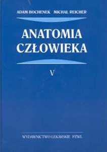 Obrazek Anatomia człowieka t.1/5 anatomia człowieka V - tomów