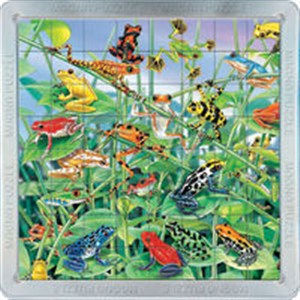 Picture of Puzzle 3D Żaby 64 elementy