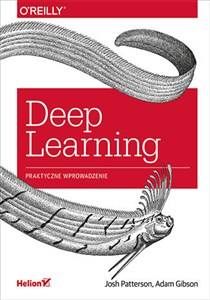 Obrazek Deep Learning Praktyczne wprowadzenie
