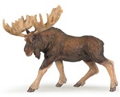 Łoś -  books in polish 