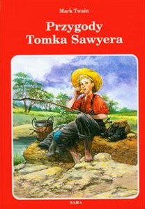 Obrazek Przygody Tomka Sawyera