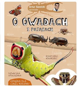 Obrazek Artur Sawicki opowiada o owadach i pająkach