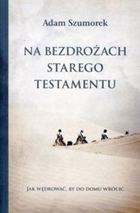 Picture of Na bezdrożach Starego Testamentu