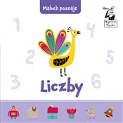 Polska książka : Maluch poz... - Magdalena Popovics