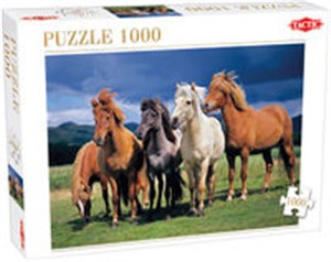 Obrazek Puzzle Camargue horses 1000
