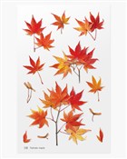 Polska książka : Naklejki o...