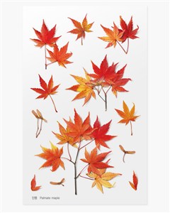 Picture of Naklejki ozdobne roślinne Klon palmowy artystyczne scrapbooking rękodzieło