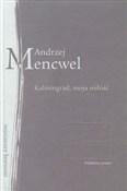 polish book : Kaliningra... - Andrzej Mencwel
