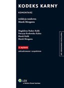 Zobacz : Kodeks kar... - Magdalena Budyn-Kulik, Patrycja Kozłowska-Kalisz, Marek Kulik, Marek Mozgawa