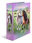 Segregator... -  Polish Bookstore 