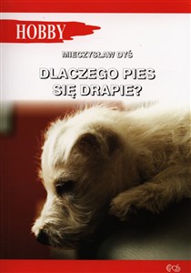 Obrazek Dlaczego pies się drapie?