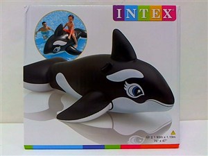 Picture of Orka pływająca czarno-biała