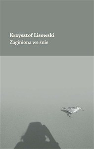 Obrazek Zaginiona we śnie