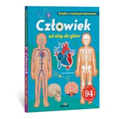 Człowiek o... - David Hawcock -  Polish Bookstore 