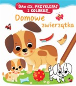 Polska książka : Domowe zwi... - Nathalie Belineau