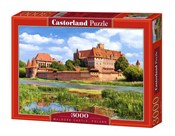 Polska książka : Puzzle Zam...