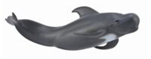 Obrazek Wieloryb Pilot L
