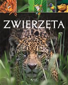 Zwierzęta - Michael Leach, Meriel Lland -  books in polish 
