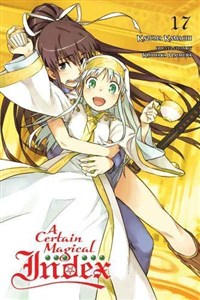 Picture of Certain Magical Index, Vol. 17 (light novel)