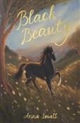 polish book : Black Beau... - Anna Sewell